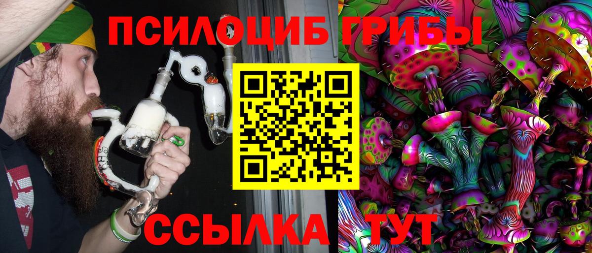 Псилоцибиновые грибы прущие грибы Дзержинский