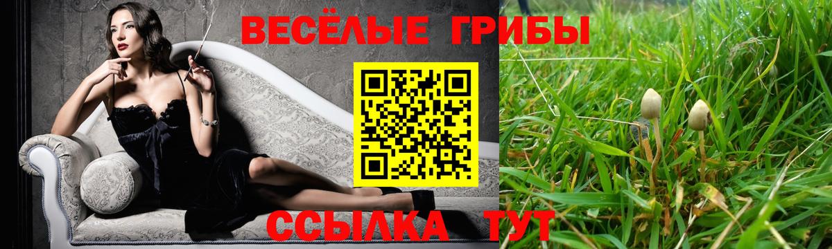 Псилоцибиновые грибы прущие грибы  Вход с VPN  Дзержинский  Галлюциногенные грибы мухоморы 